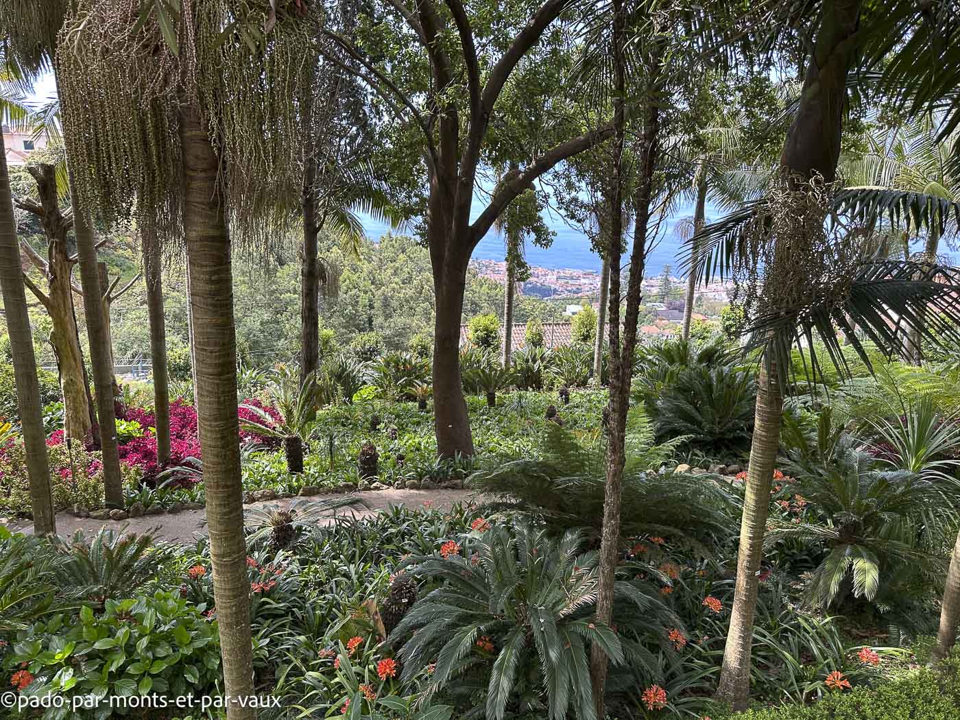 Funchal-Jardin de Monte Funchal-Jardins de Monte