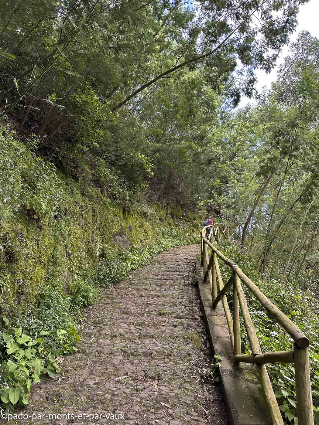 Funchal-rando Funchal-rando