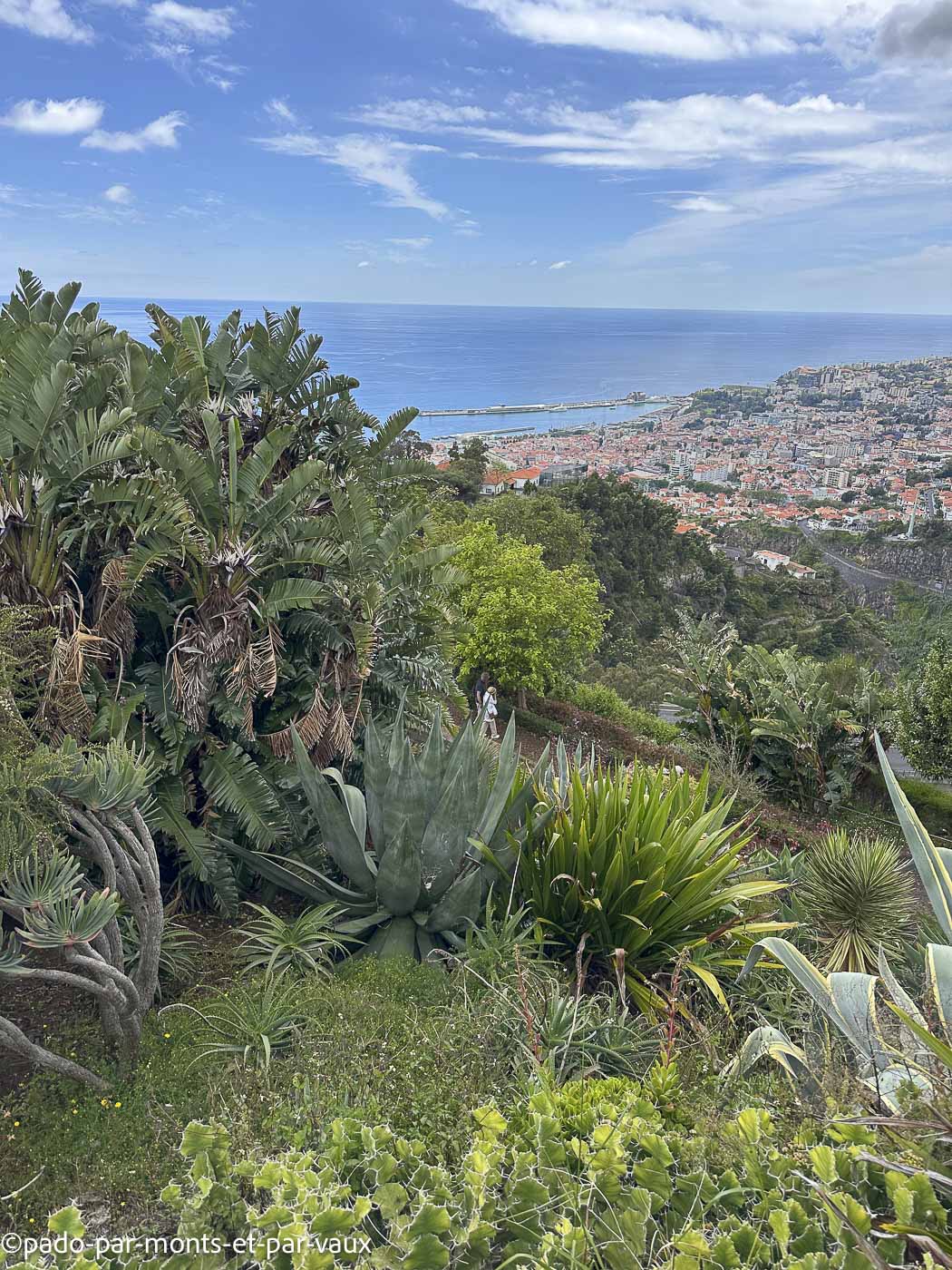 Funchal-jardin botanique Funchal-jardin botanique