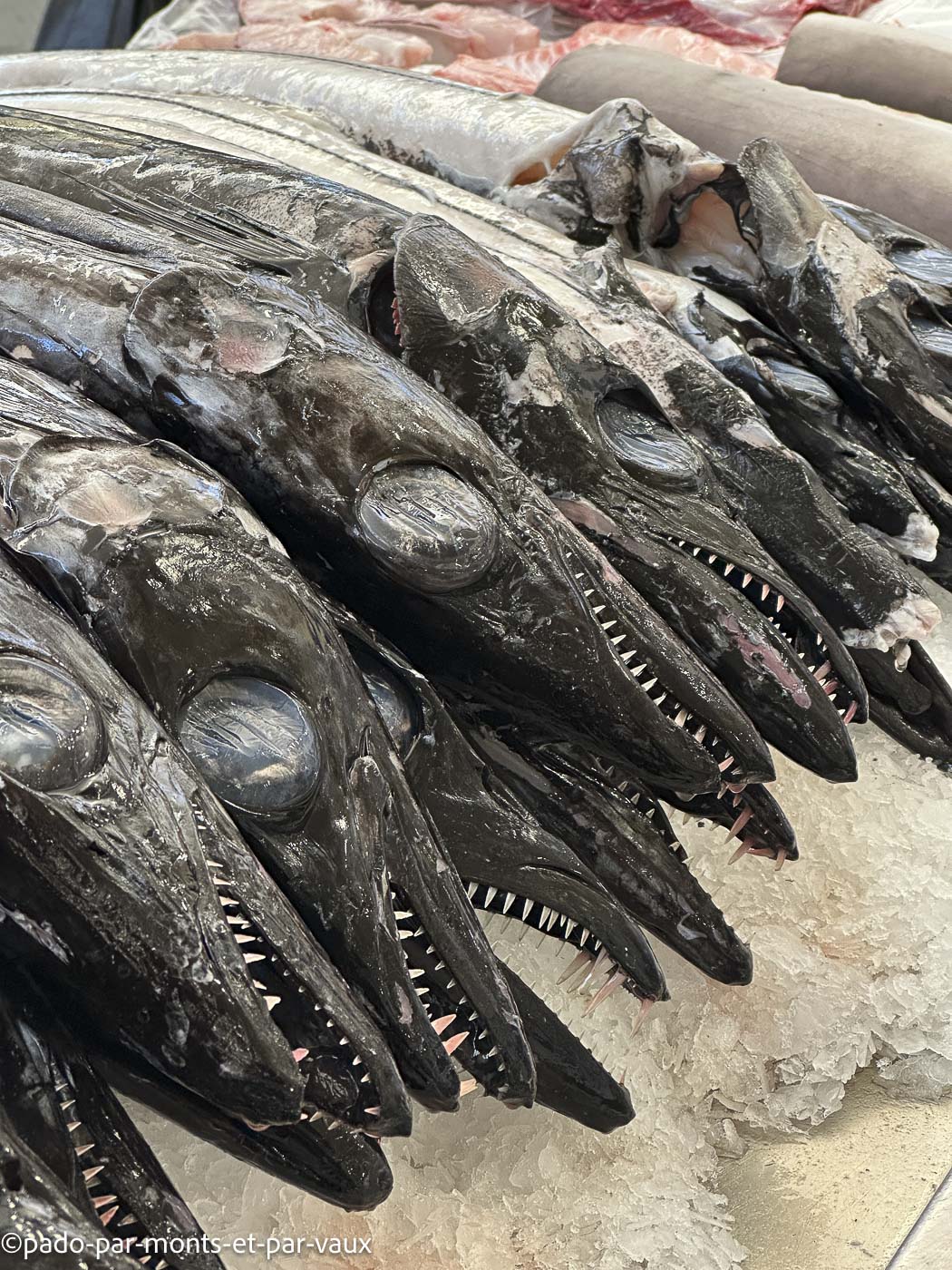 Funchal-marche - sabre Funchal-Mercado dos Lavradores