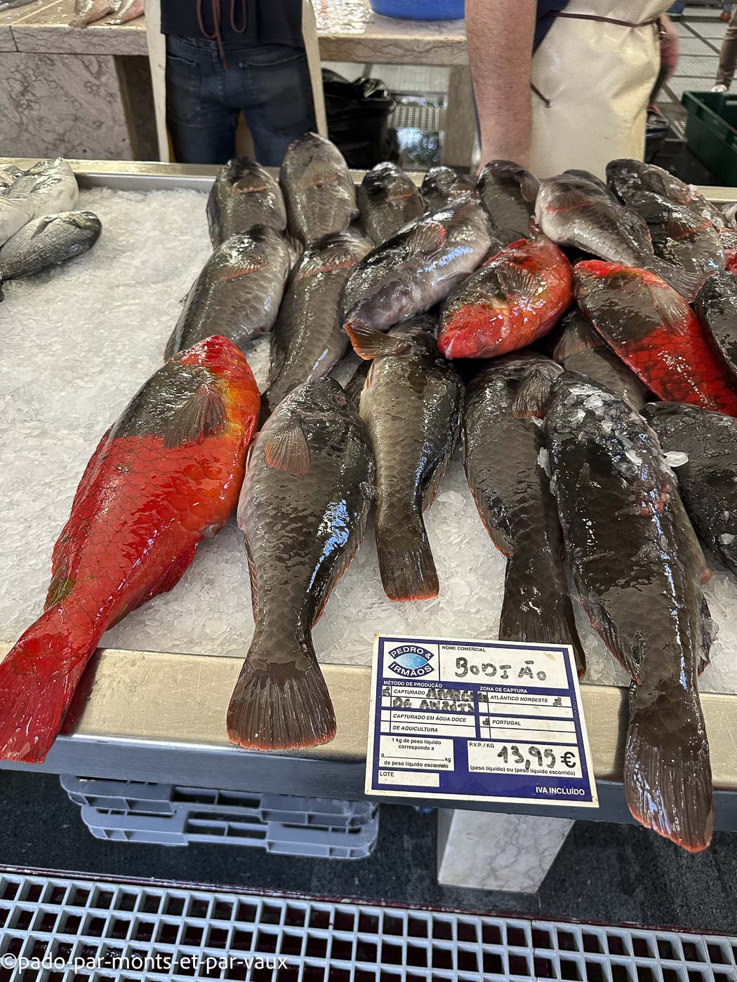 Funchal-marche Funchal-Mercado dos Lavradores