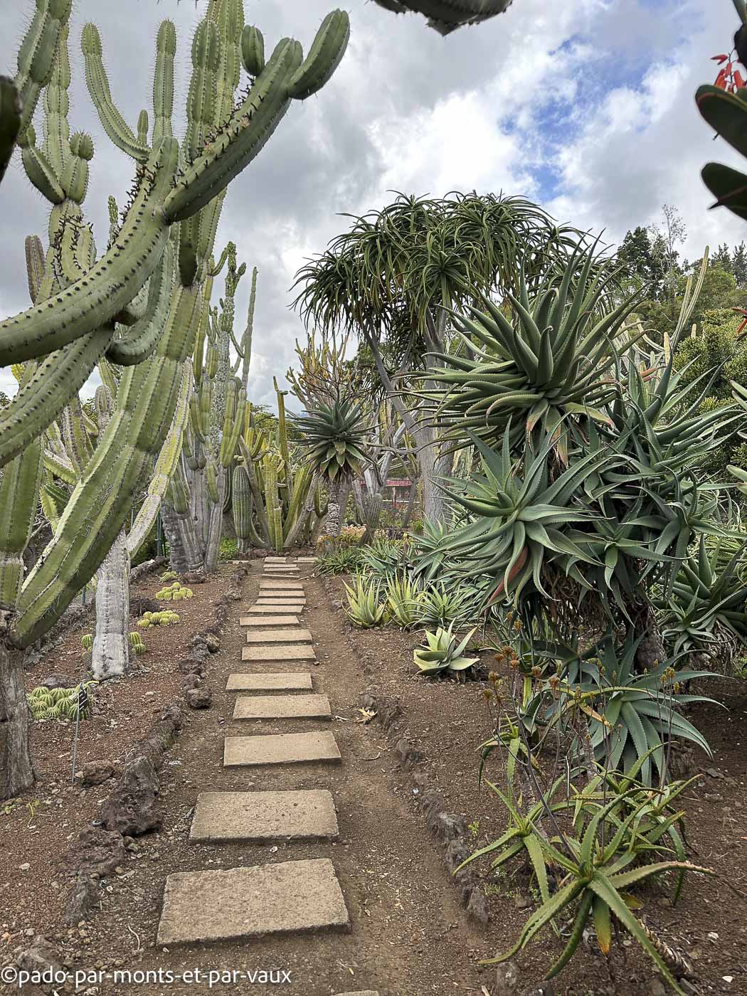 Funchal-jardin botanique Funchal-jardin botanique