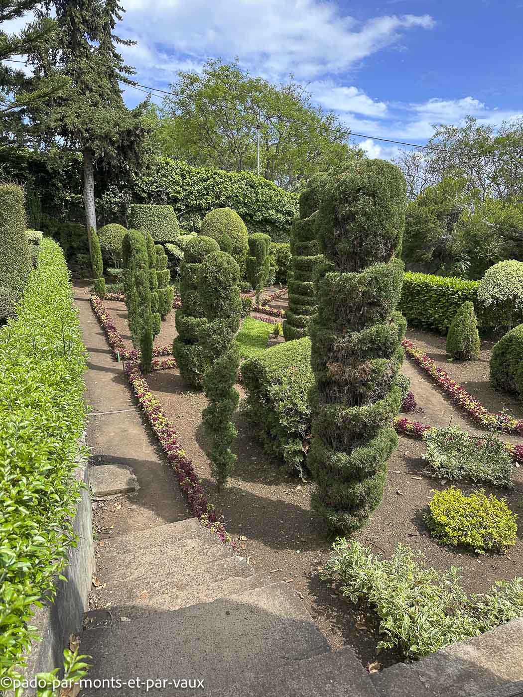 Funchal-jardin botanique Funchal-jardin botanique