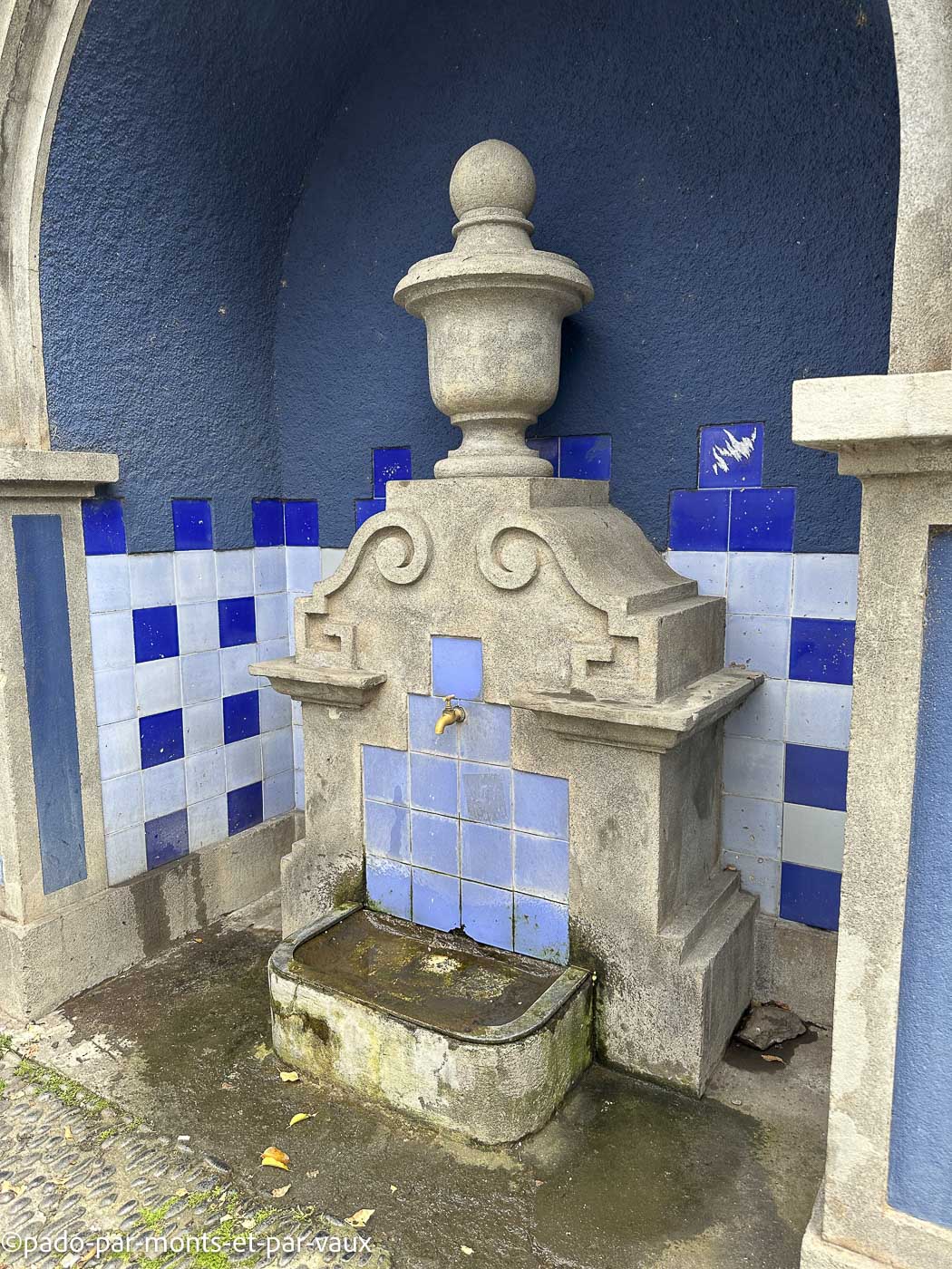 Funchal - fontaine Funchal - fontaine