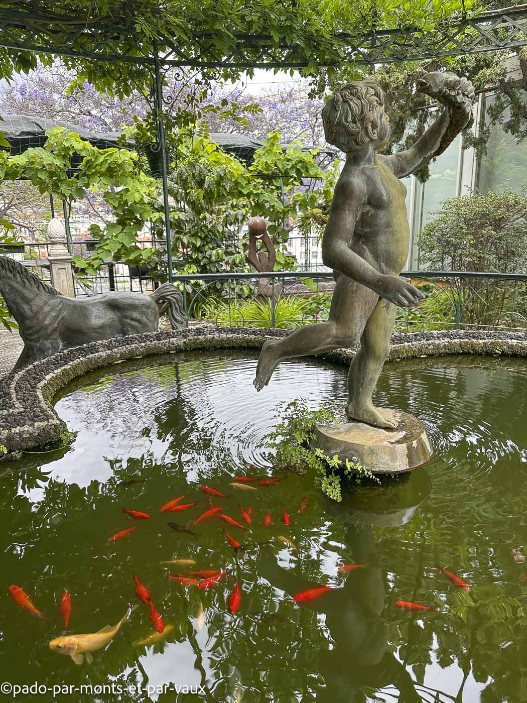 Funchal-universo de memorias Funchal-universo de memorias