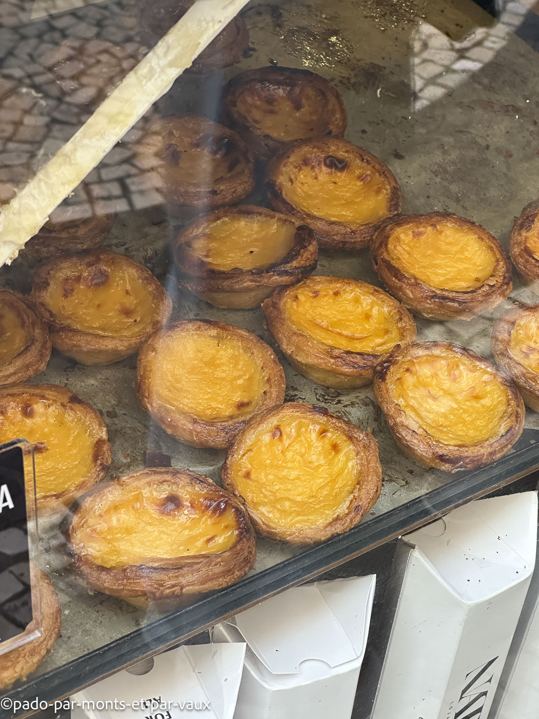 Funchal-pasteis de natal Funchal-pasteis de natal