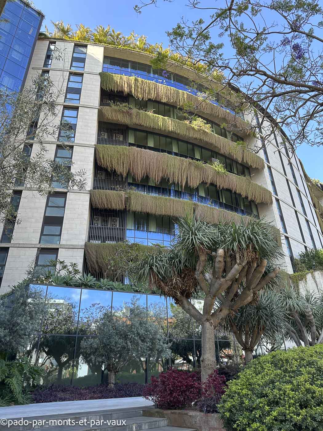 Funchal-bord de mer-hôtel Funchal-bord de mer-hôtel