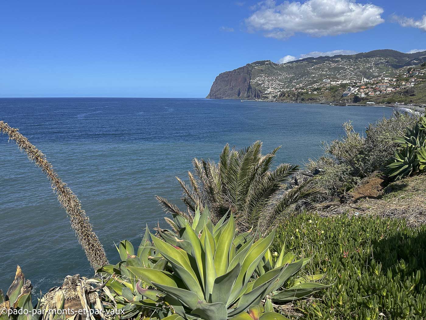 Funchal-bord de mer Funchal-bord de mer
