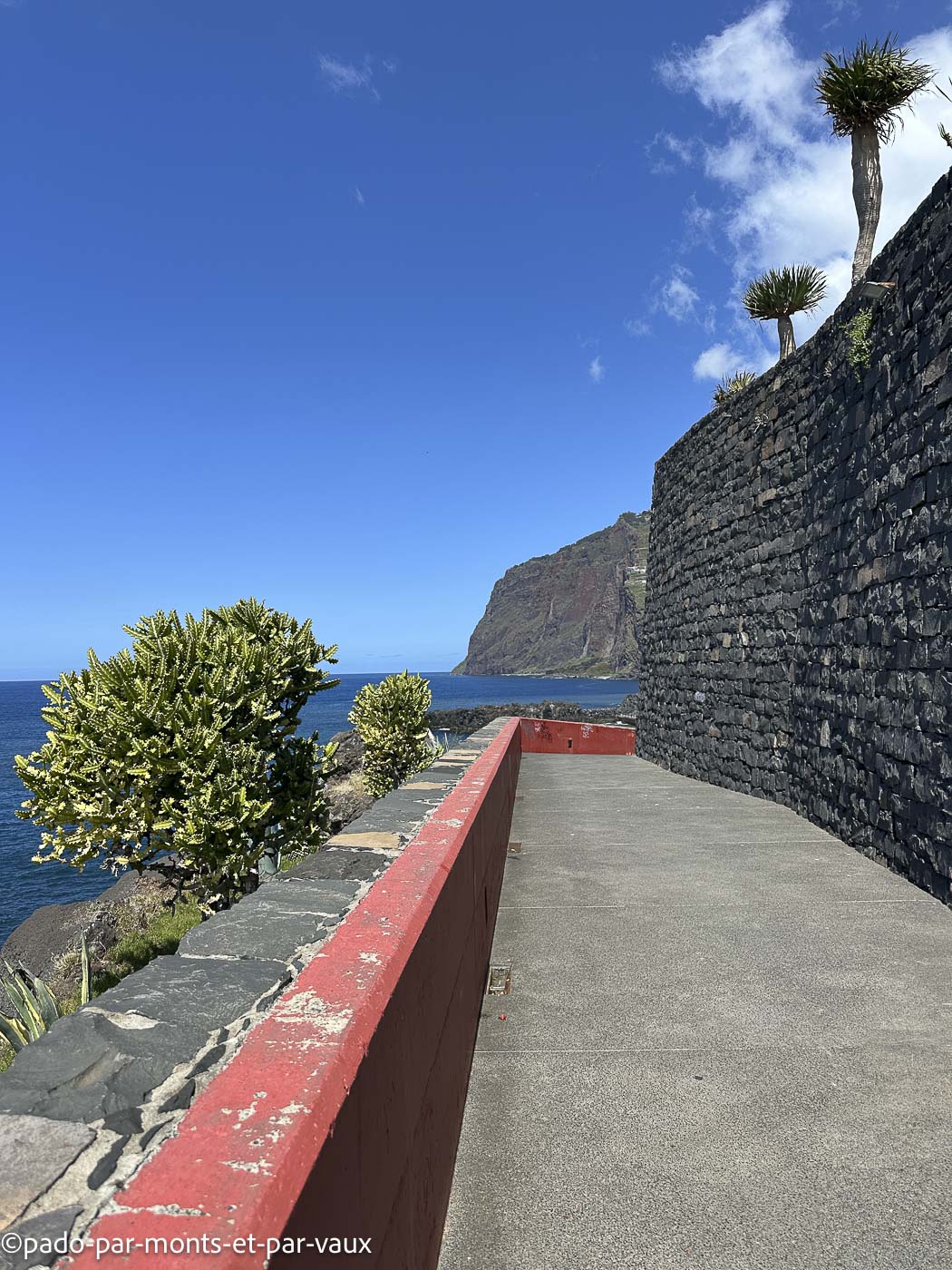 Funchal-bord de mer Funchal-bord de mer