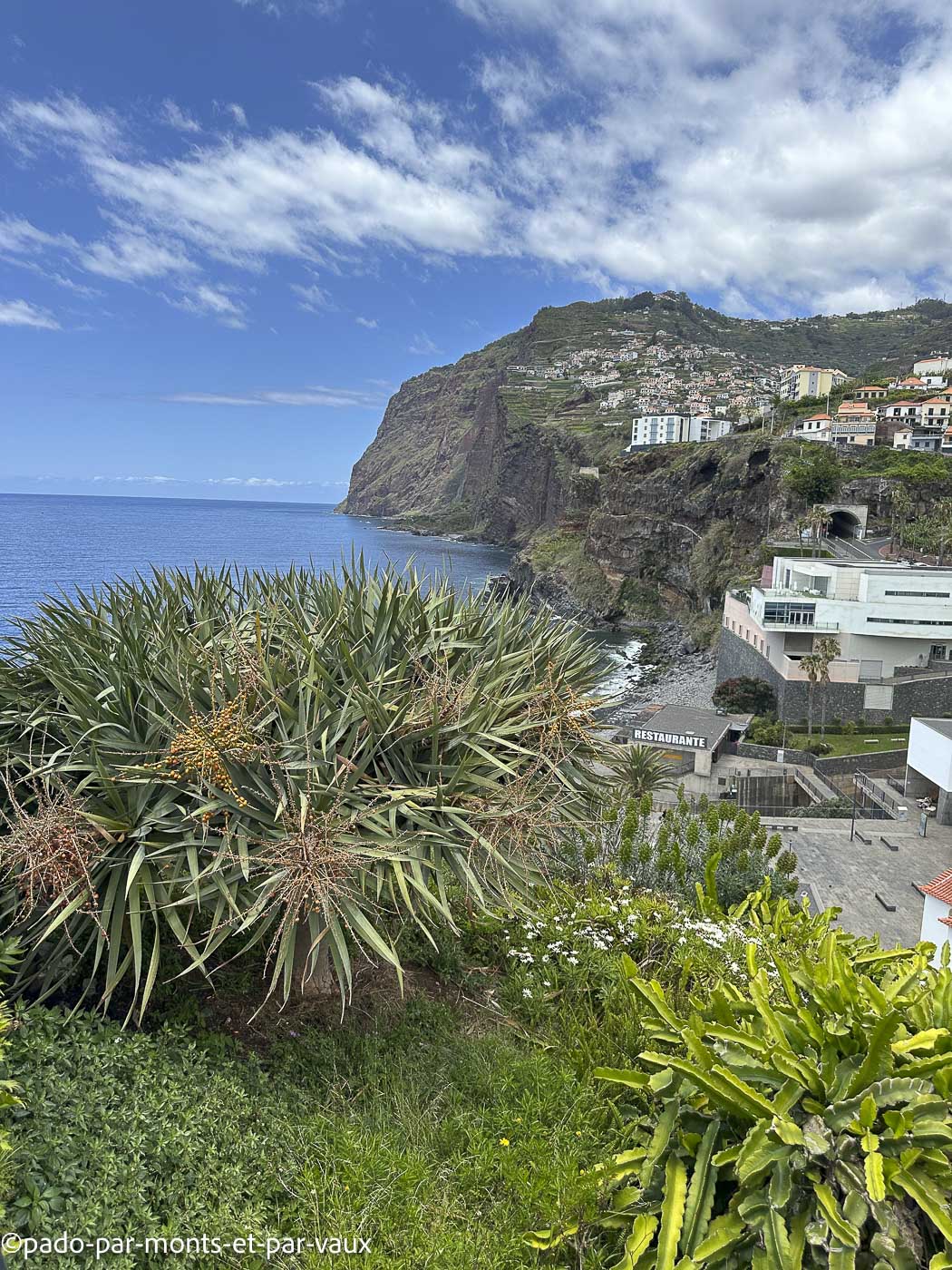Camara dos Lobos Camara dos Lobos