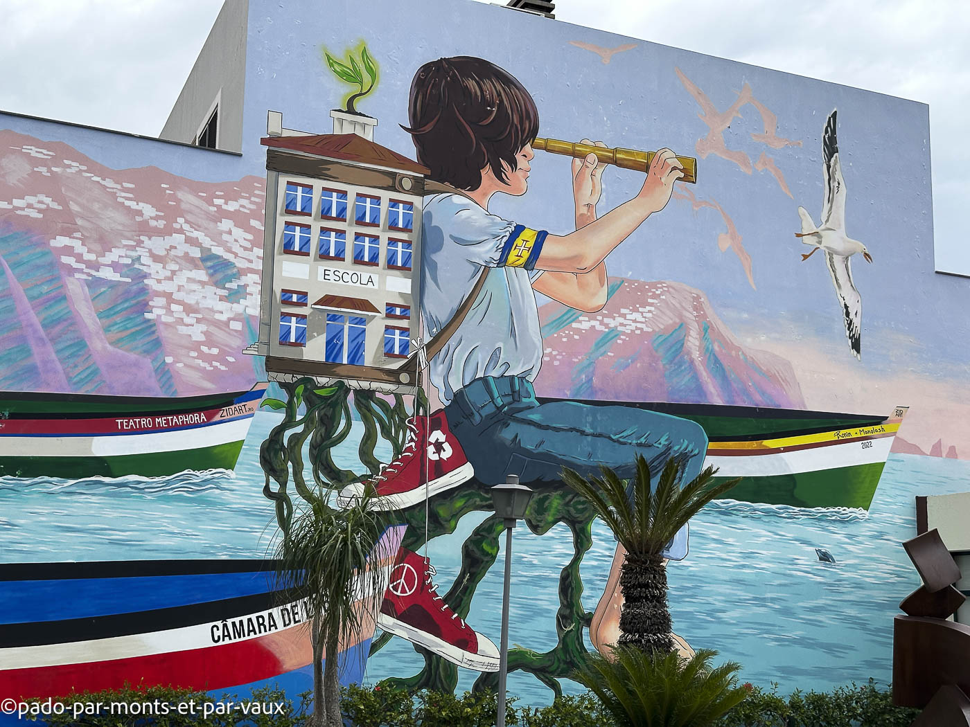 Camara dos Lobos Camara dos Lobos