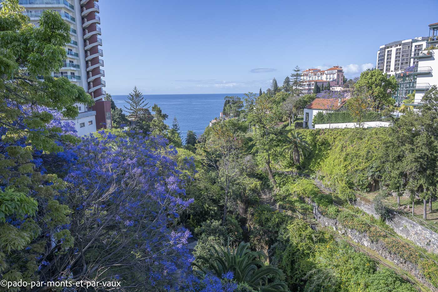 Funchal-bord de mer Funchal-bord de mer