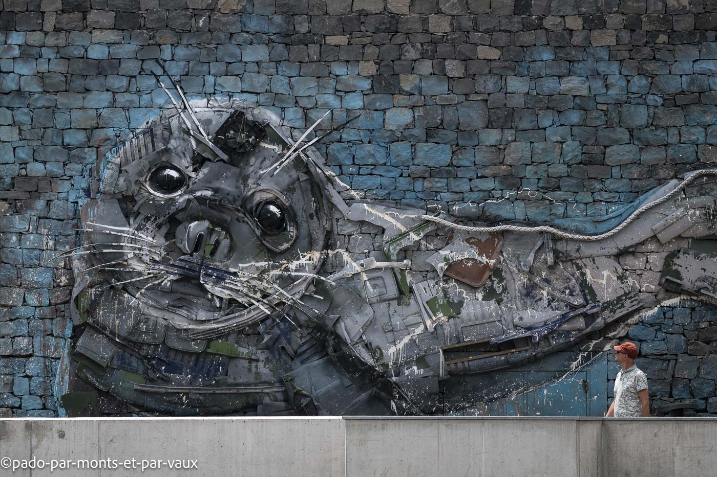 Camara dos Lobos Camara dos Lobos