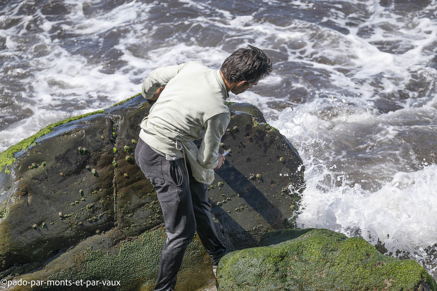 Camara dos Lobos Camara dos Lobos