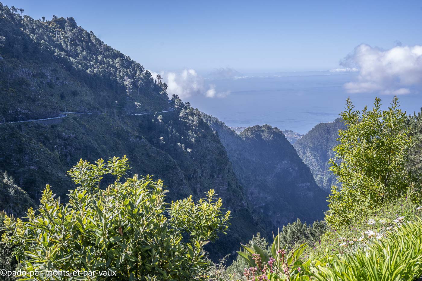 Madere-Eira do Serrado Madere-Eira do Serrado