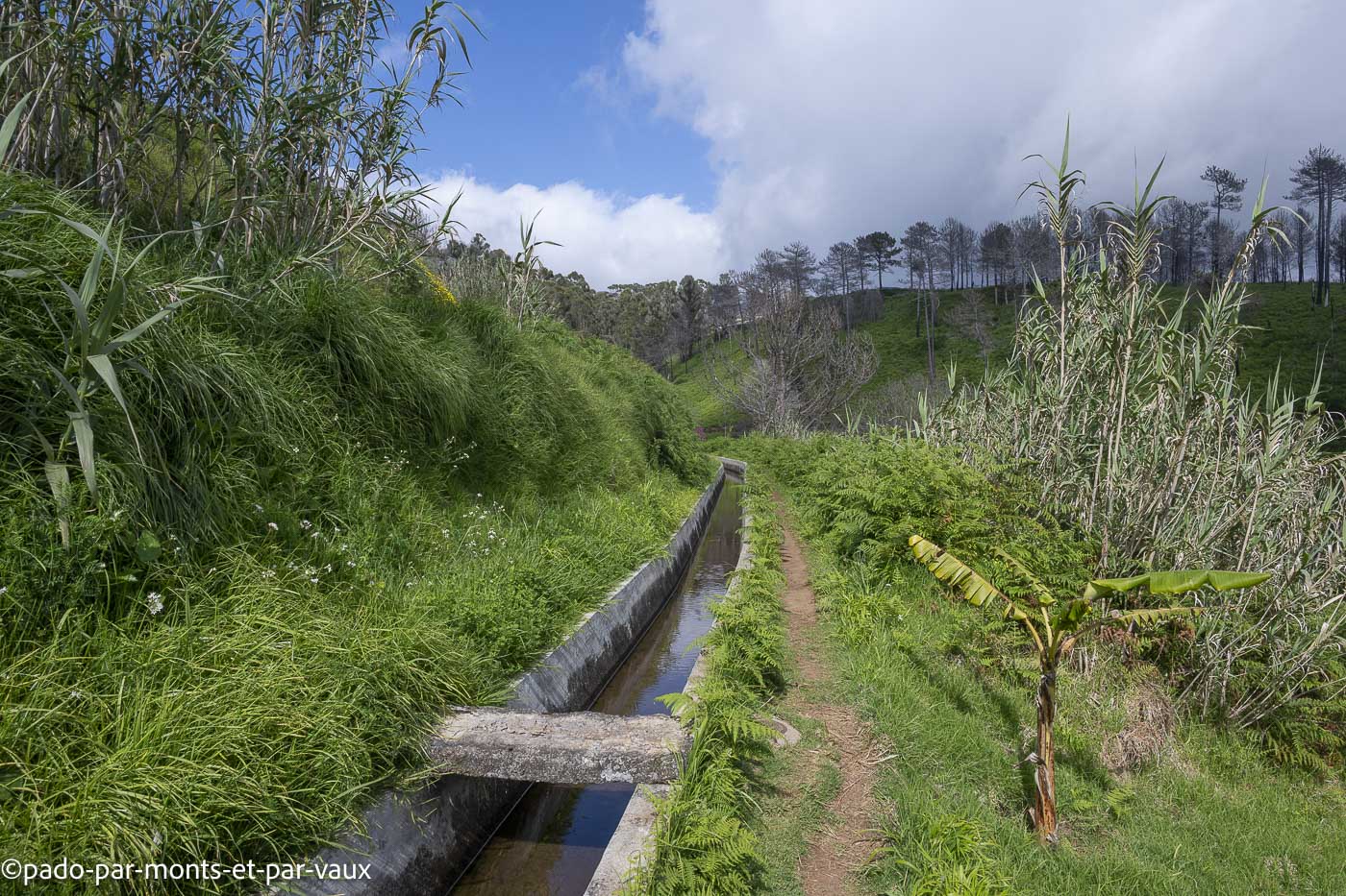 Madere-Faja da Ovelha Madere-Faja da Ovelha - levada Nova