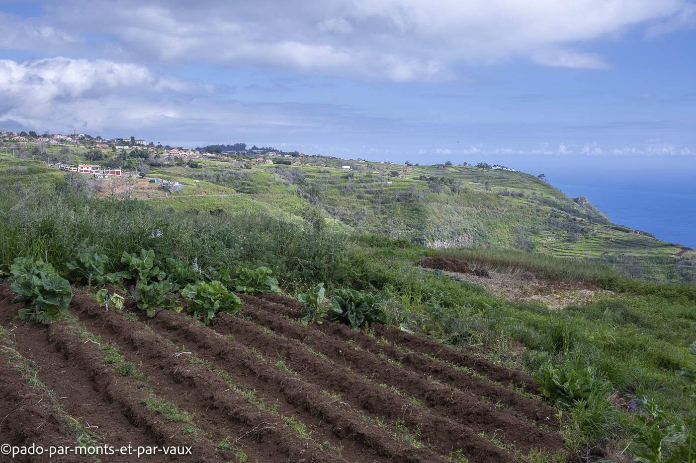 Madere-Faja da Ovelha Madere-Faja da Ovelha - levada Nova
