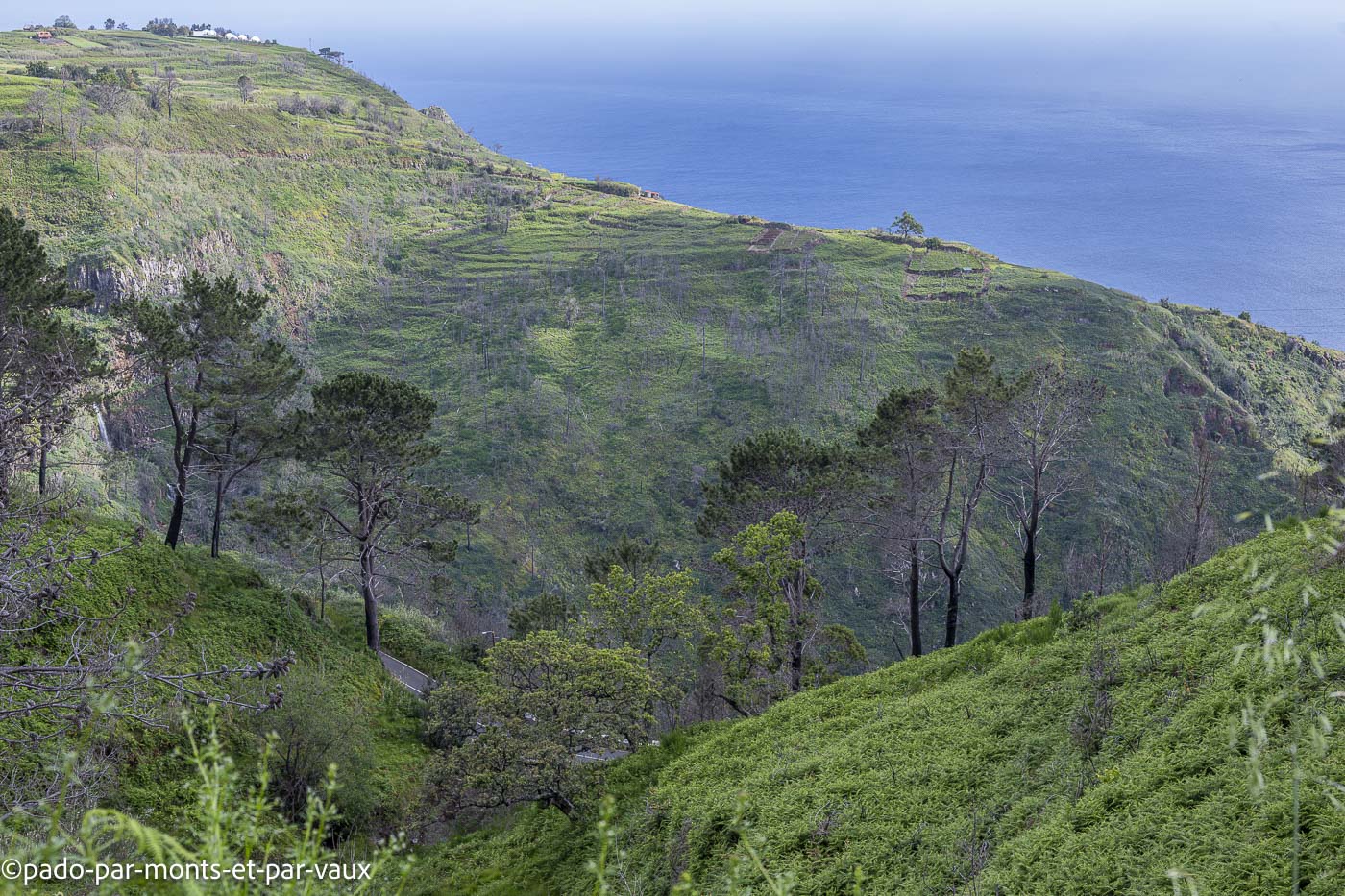 Madere-Faja da Ovelha Madere-Faja da Ovelha - levada Nova