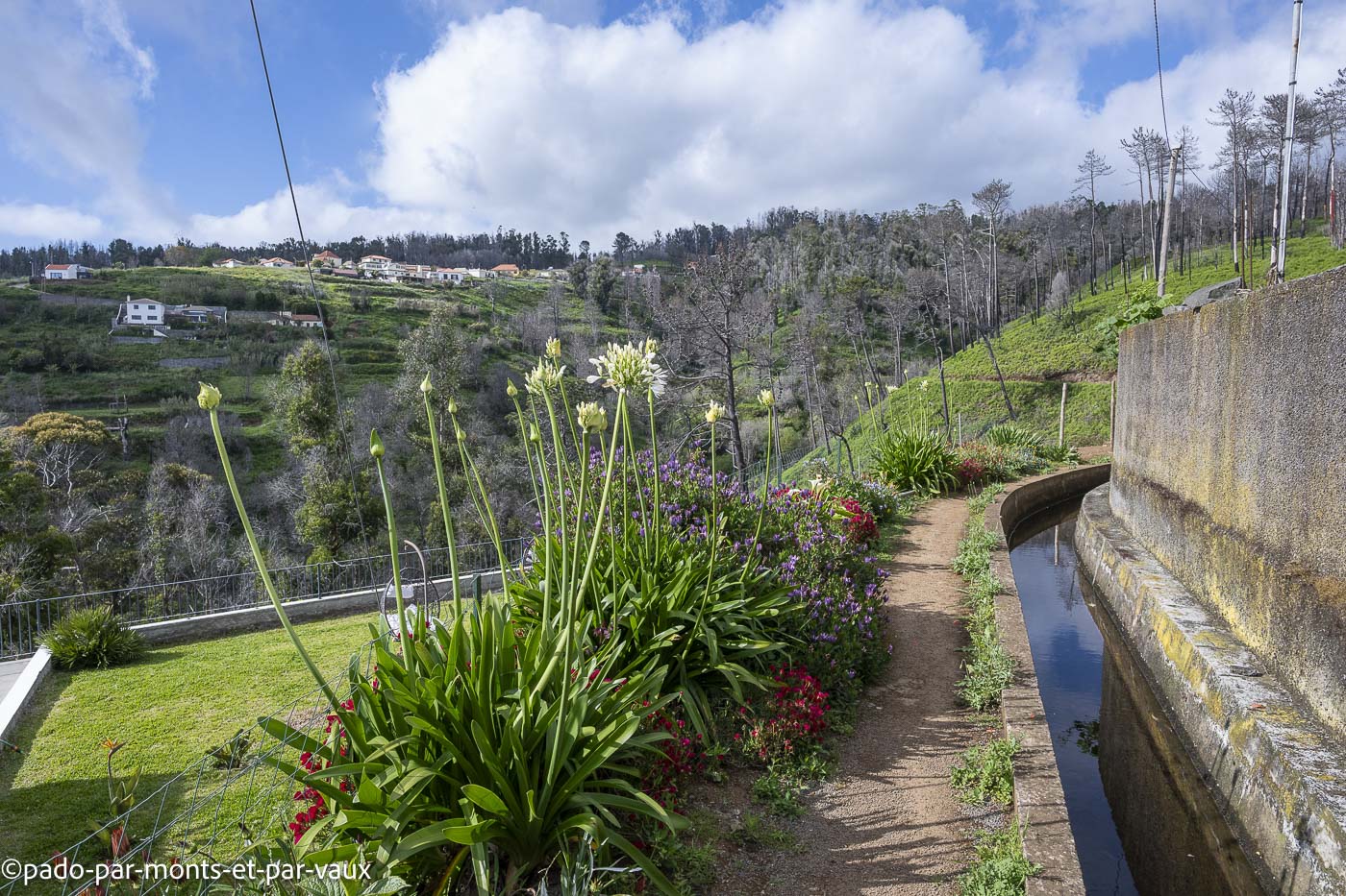 Madere-Faja da Ovelha Madere-Faja da Ovelha - levada Nova