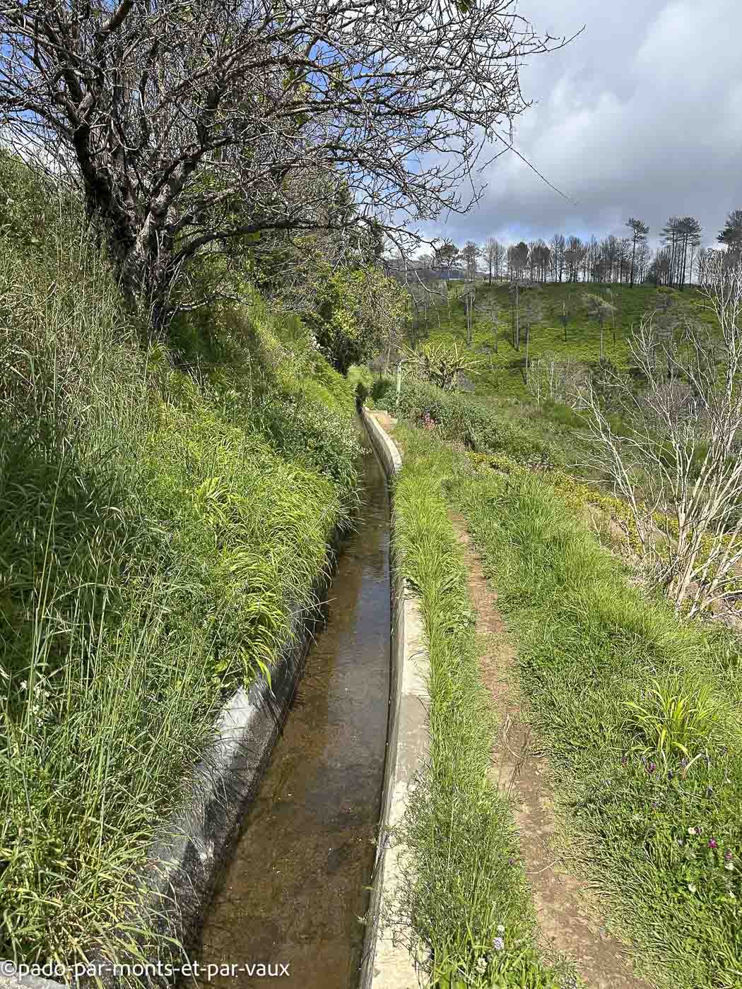 Madere-Faja da Ovelha Madere-Faja da Ovelha - levada Nova