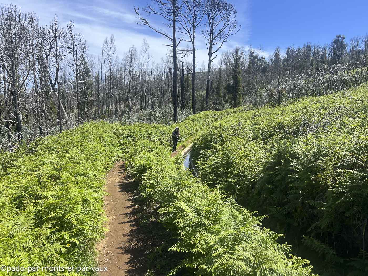 Madere-rando Ponta do Pargo Madere-rando Ponta do Pargo