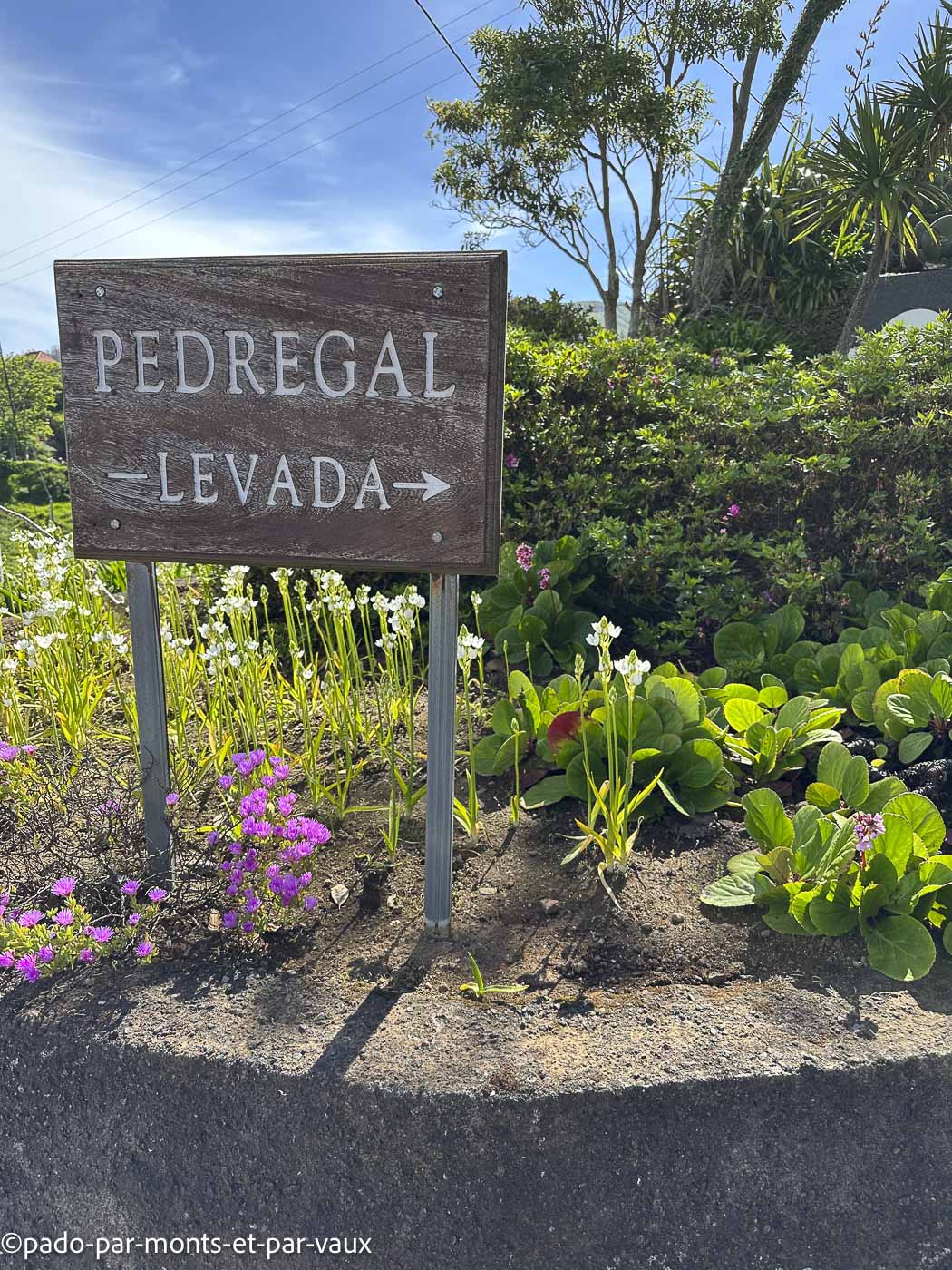 Madere-rando Ponta do Pargo Madere-rando Ponta do Pargo