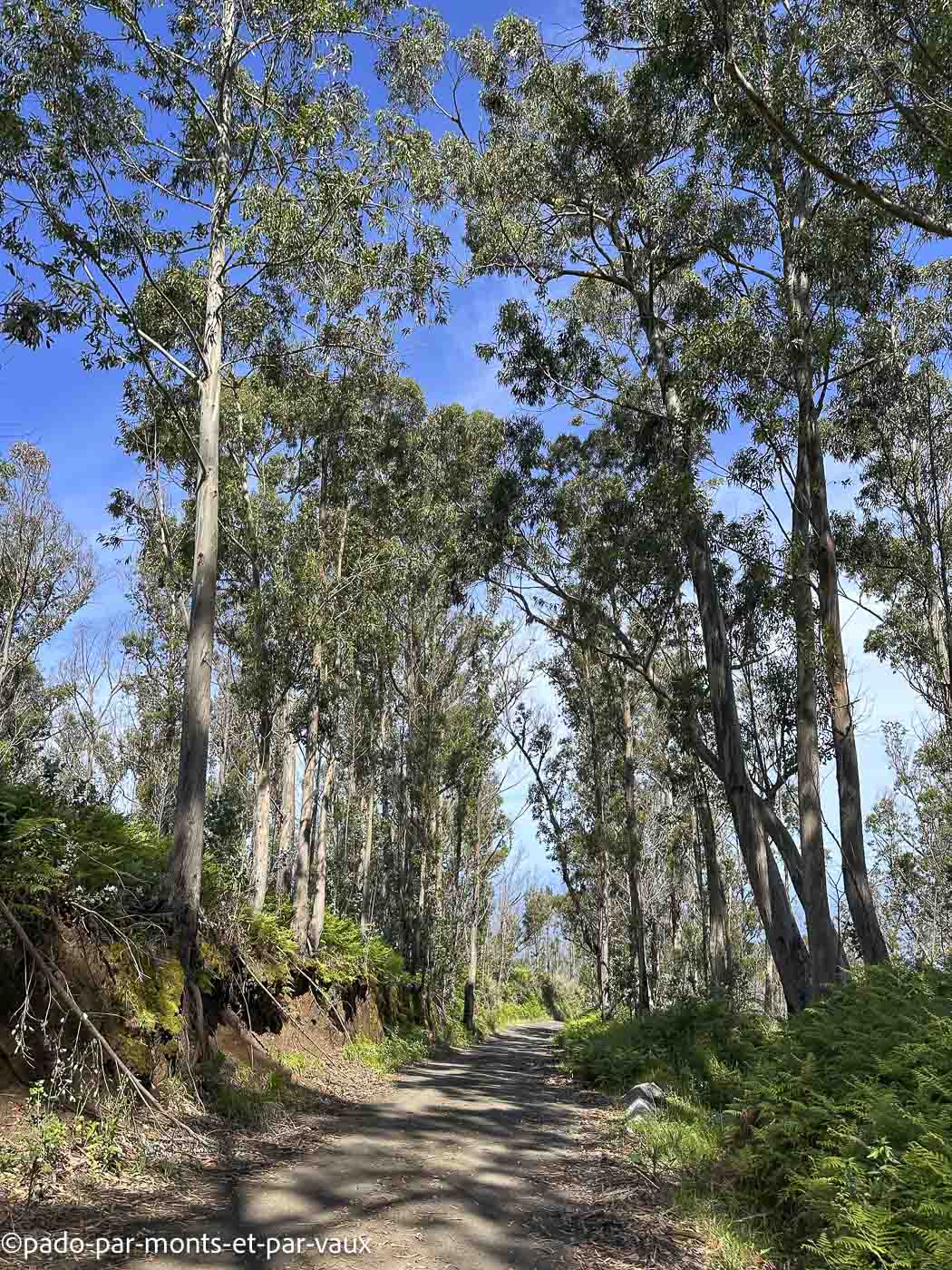 Madere-rando Ponta do Pargo Madere-rando Ponta do Pargo