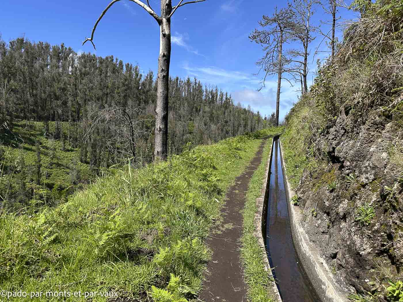 Madere-rando Ponta do Pargo Madere-rando Ponta do Pargo