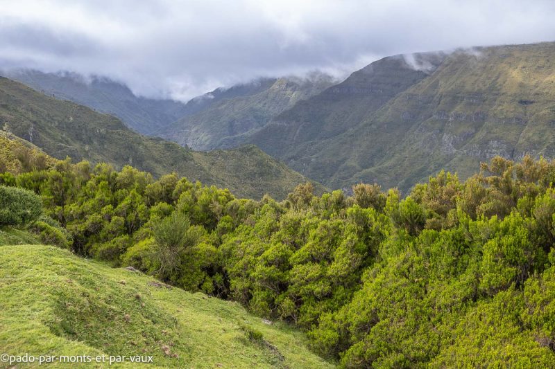 Plateau de Paul da Serra -route de Faja da Ovelha Plateau de Paul da Serra -route de Faja da Ovelha