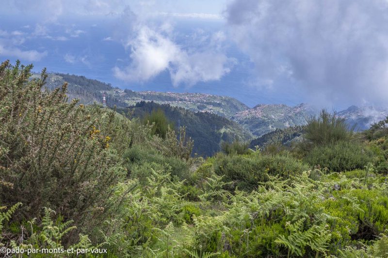 Madere-route de Faja da Ovelha Plateau de Paul da Serra -route de Faja da Ovelha