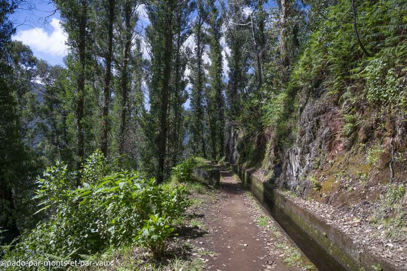 Madere- Levada Ribeira da Janela Madere- Levada da Ribeira da Janela
