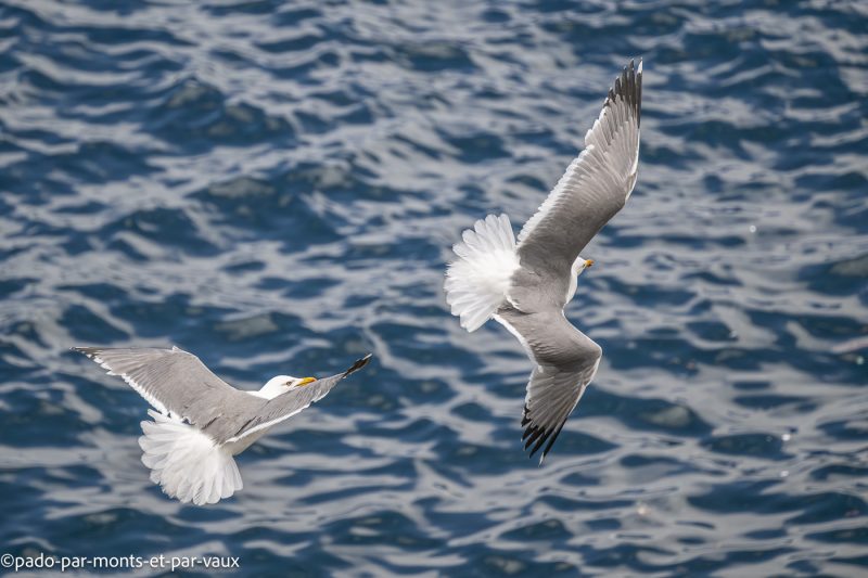Madere- Porto Moniz Madere- Porto Moniz
