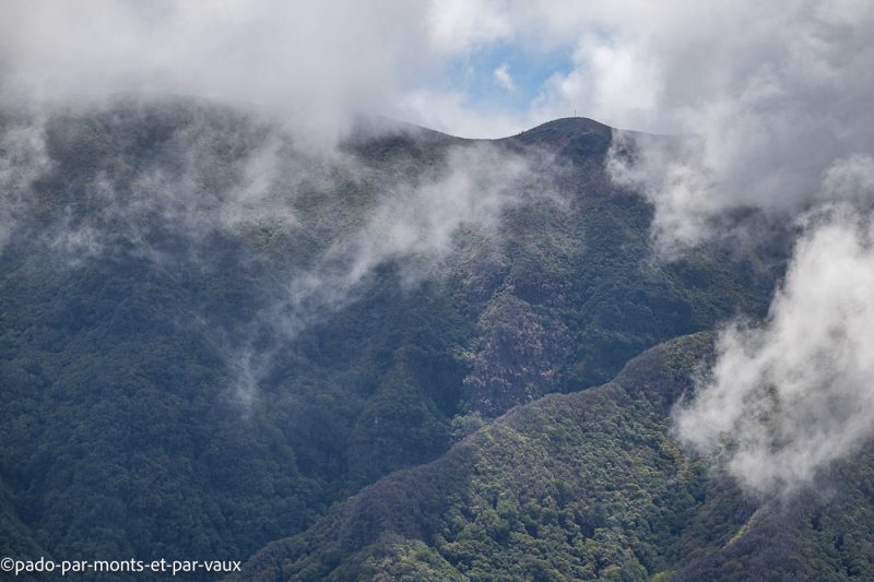 Madere-Route de Fanal Madere-Route de Fanal