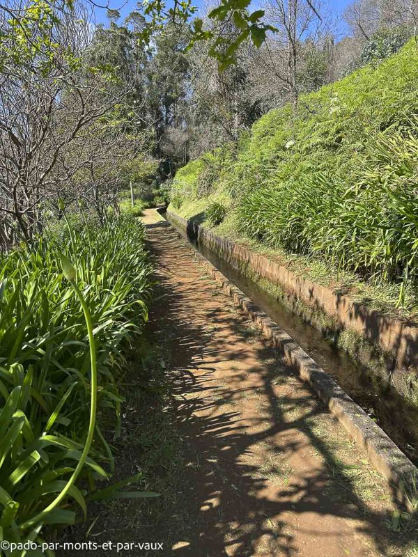 Madere- Levada da Ribeira da Janela Madere- Levada da Ribeira da Janela