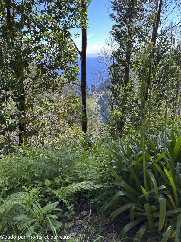 Madere- Levada da Ribeira da Janela Madere- Levada da Ribeira da Janela