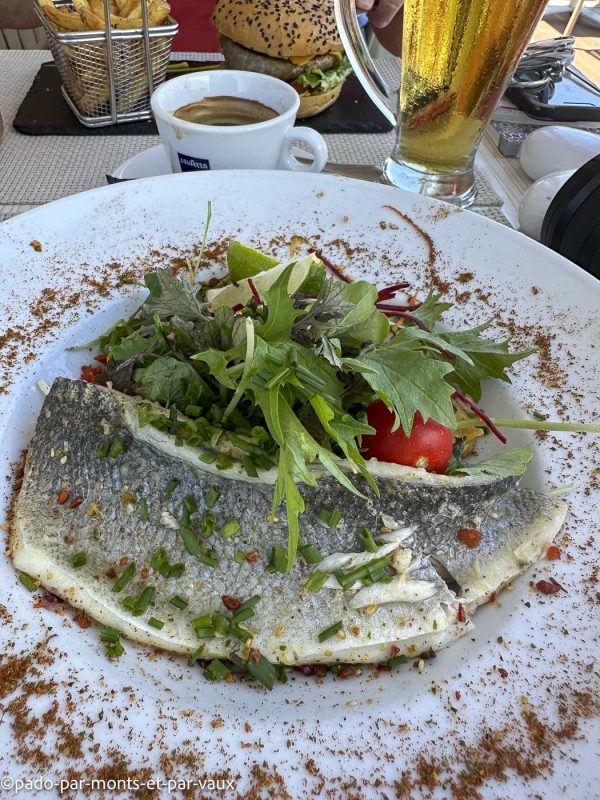 Madere- Porto Moniz- loup Madere- Porto Moniz- loup