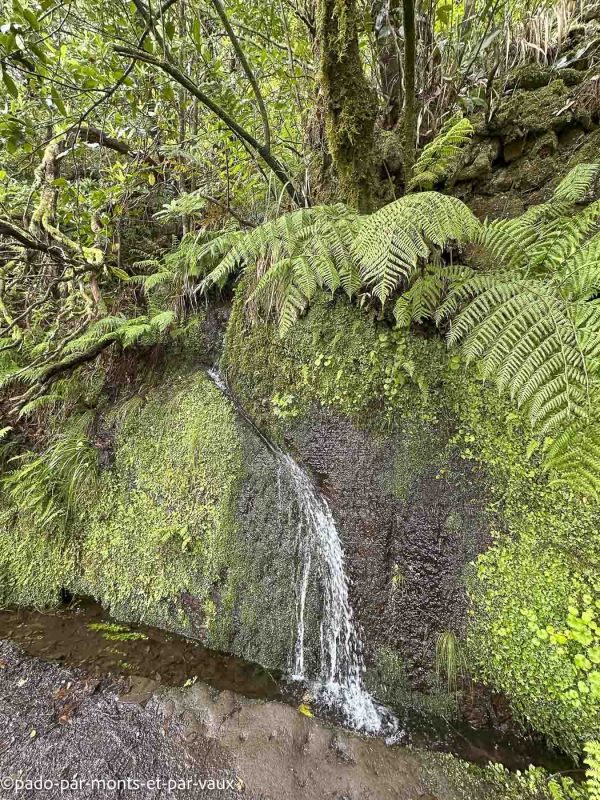 Madere-Cascade de Risco Madere-Cascade de Risco