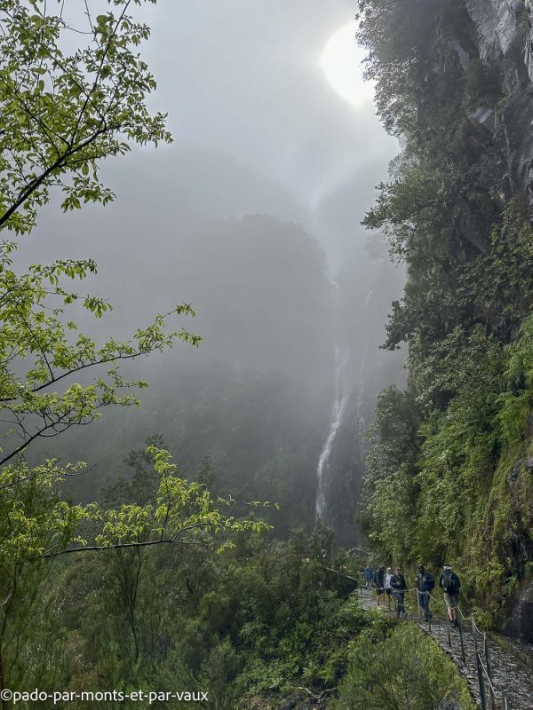 Madere-Cascade de Risco Madere-Cascade de Risco