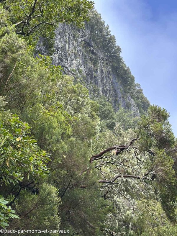 Madere-Cascade de Risco Madere-Cascade de Risco