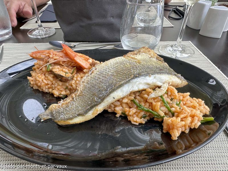 Madere-Arco de Sao Jorge -poisson Madere-Arco de Sao Jorge -poisson