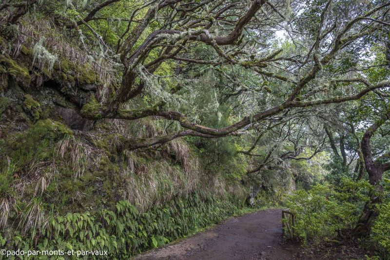 Madere-Cascade de Risco Madere-Cascade de Risco