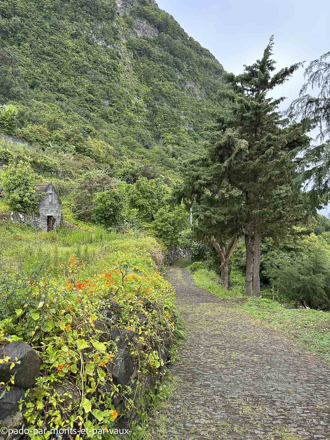 Madere-rando littoral Arco de Sao Jorge Madere-rando littoral Arco de Sao Jorge