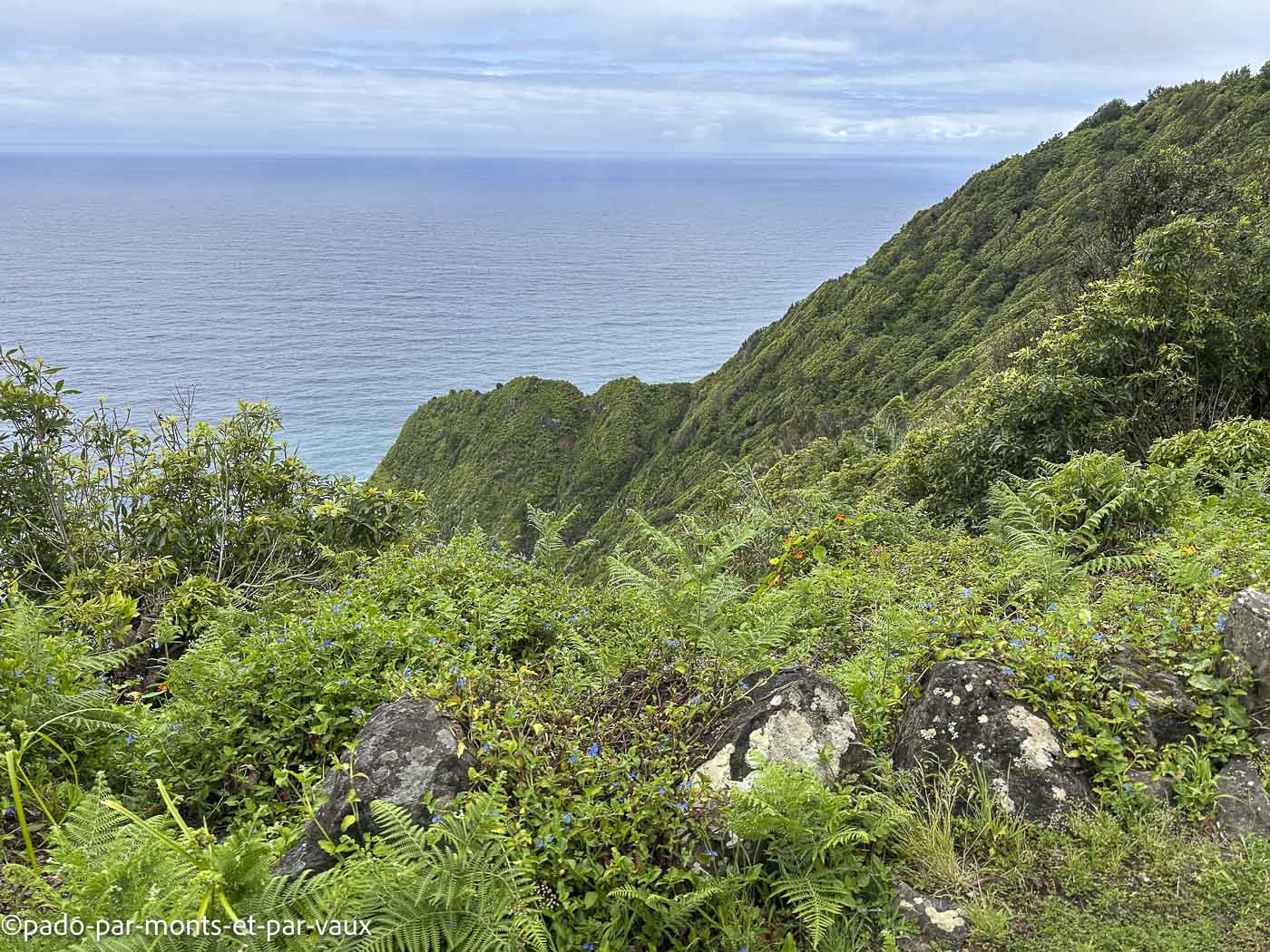 Madere-rando littoral Arco de Sao Jorge Madere-rando littoral Arco de Sao Jorge