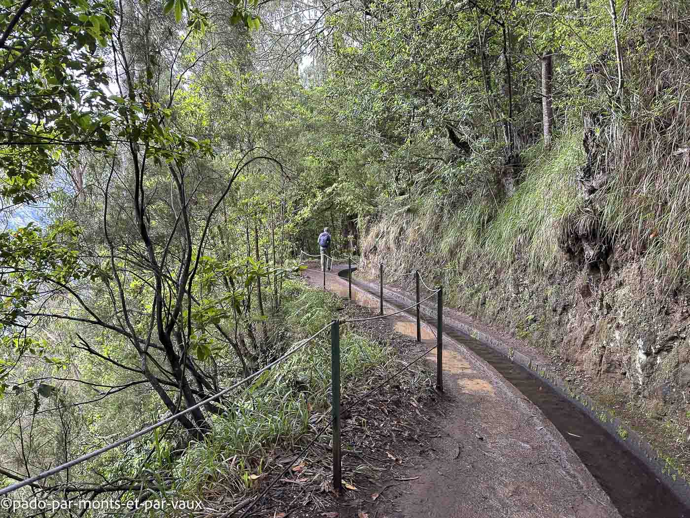 Madere-Levada do Rei Madere - Levada do Rei