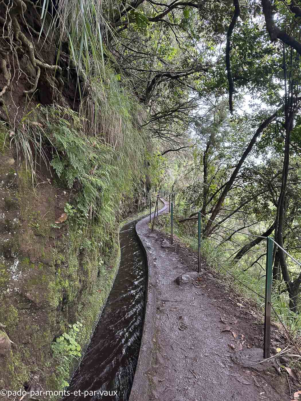 Madere-Levada do Rei Madere - Levada do Rei
