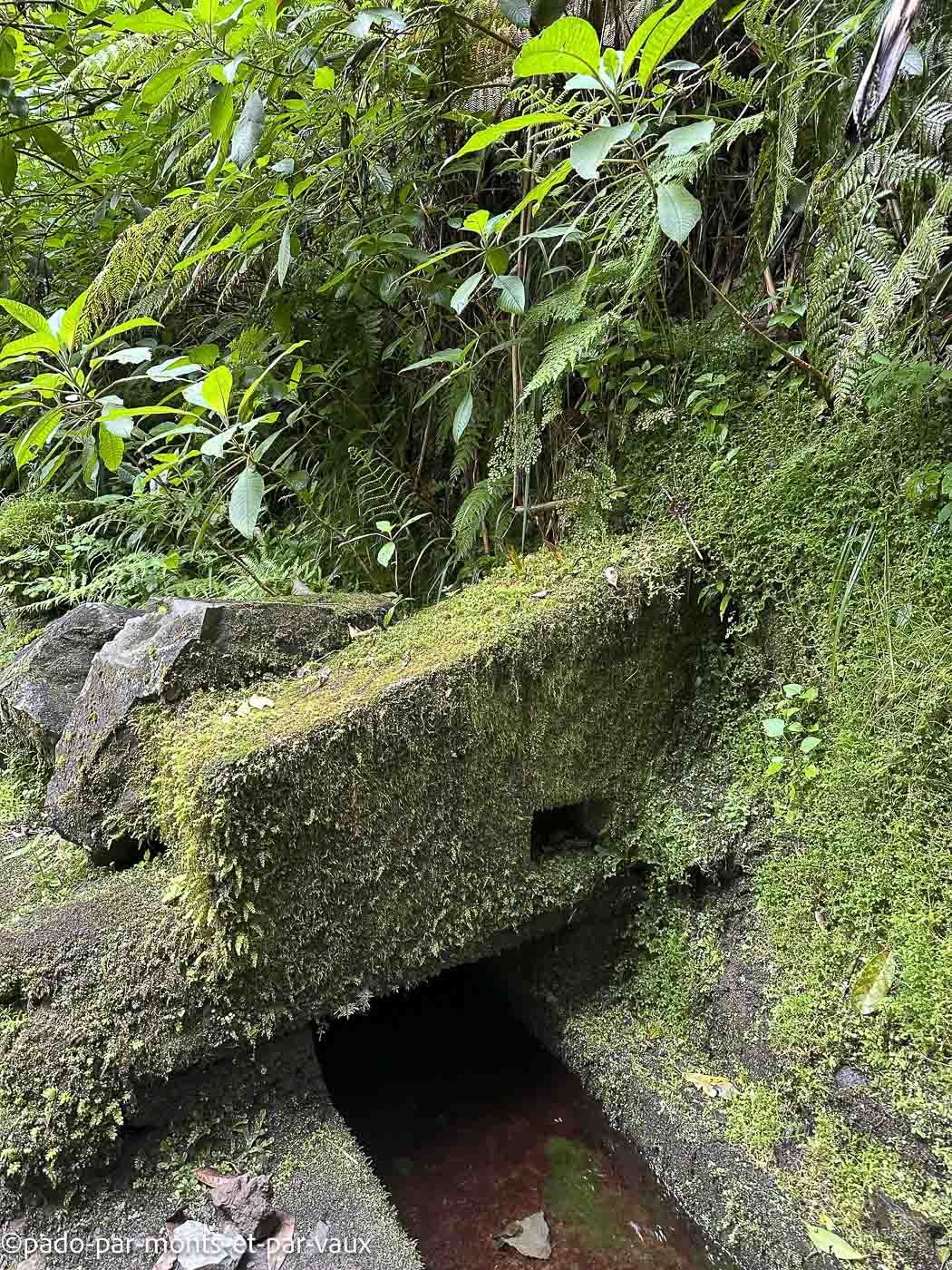 Madere-Levada do Rei Madere - Levada do Rei