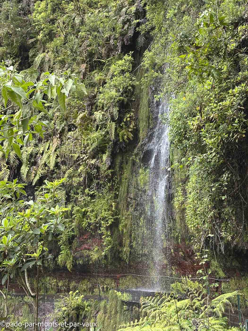 Madere-Levada do Rei Madere - Levada do Rei