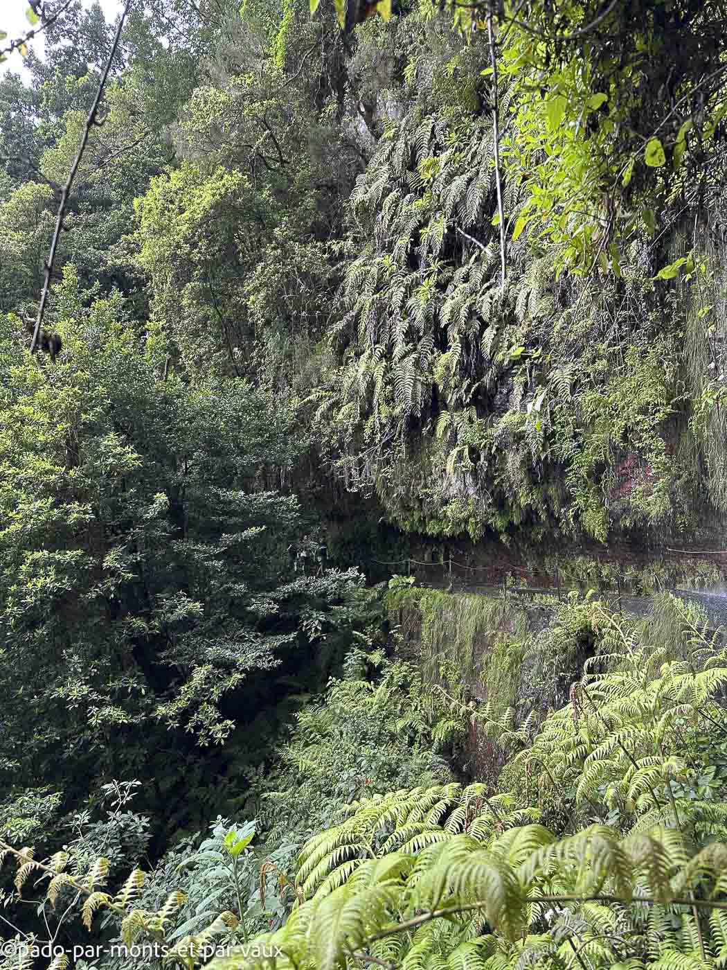 Madere-Levada do Rei Madere - Levada do Rei