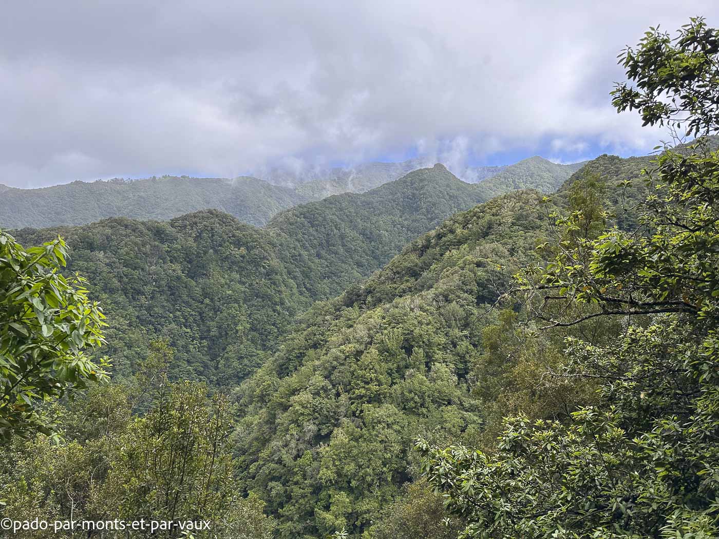 Madere-Levada do Rei Madere - Levada do Rei