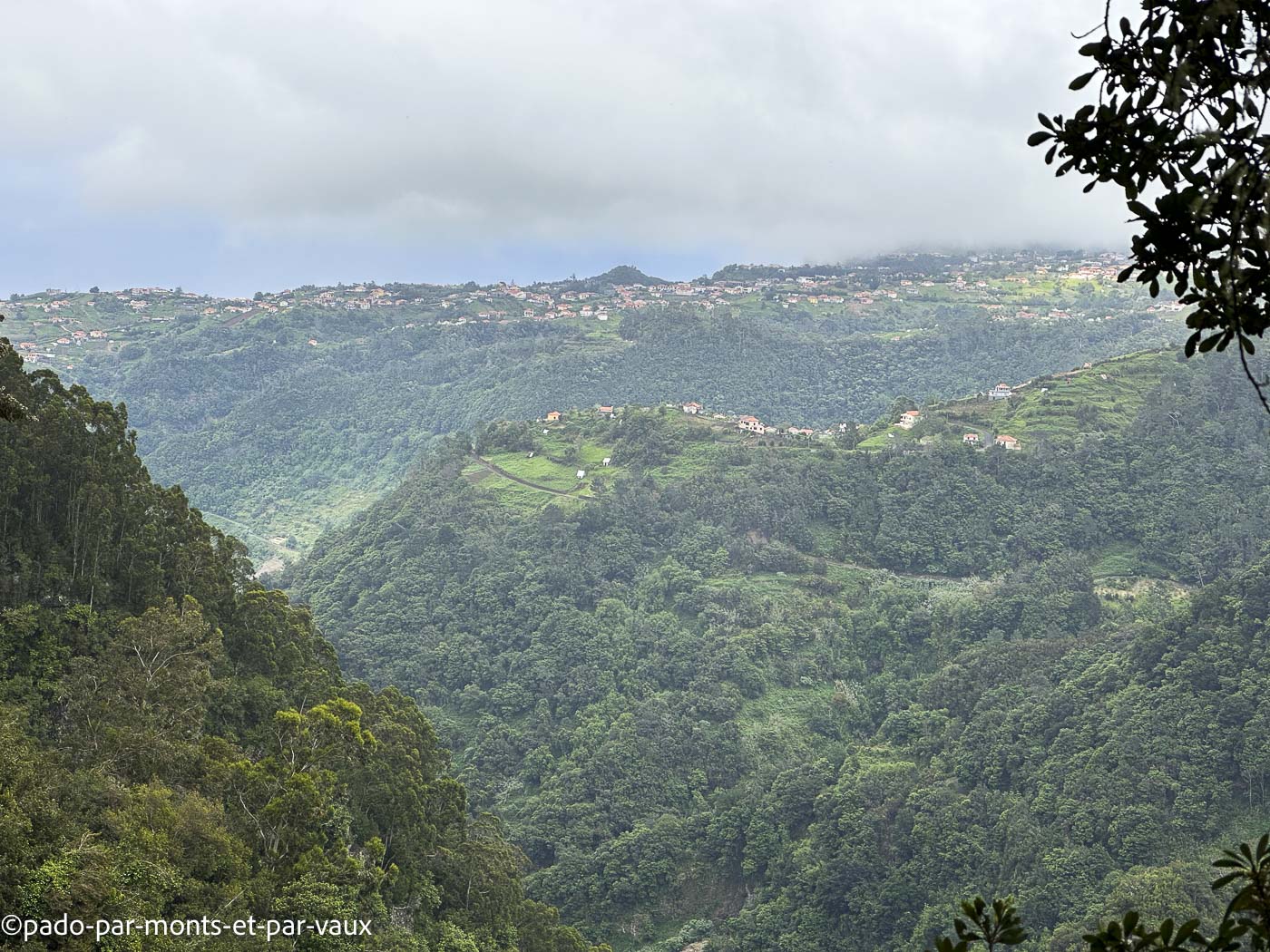 Madere-Levada do Rei Madere - Levada do Rei